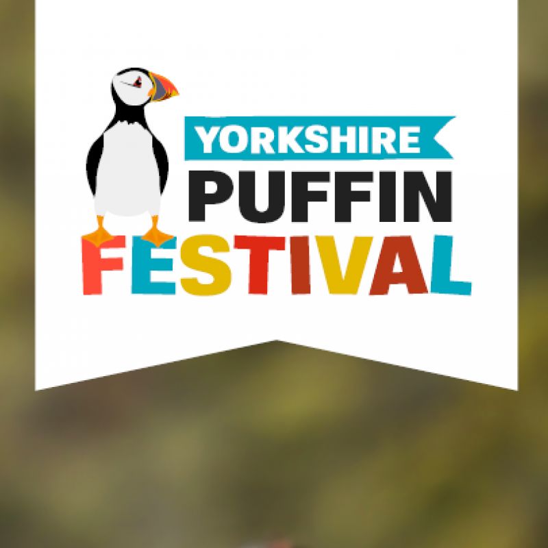 Yorkshire Puffin Festival