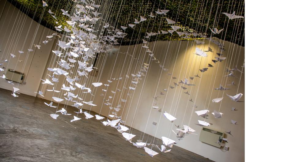 1 000 doves of peace