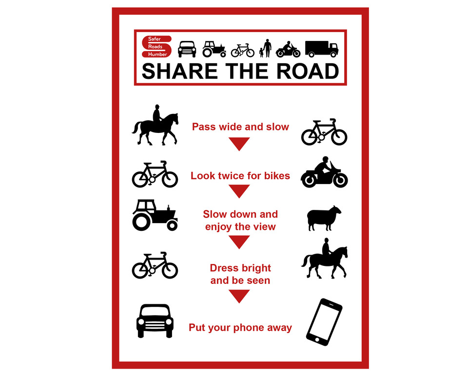 Share The Road Postcard