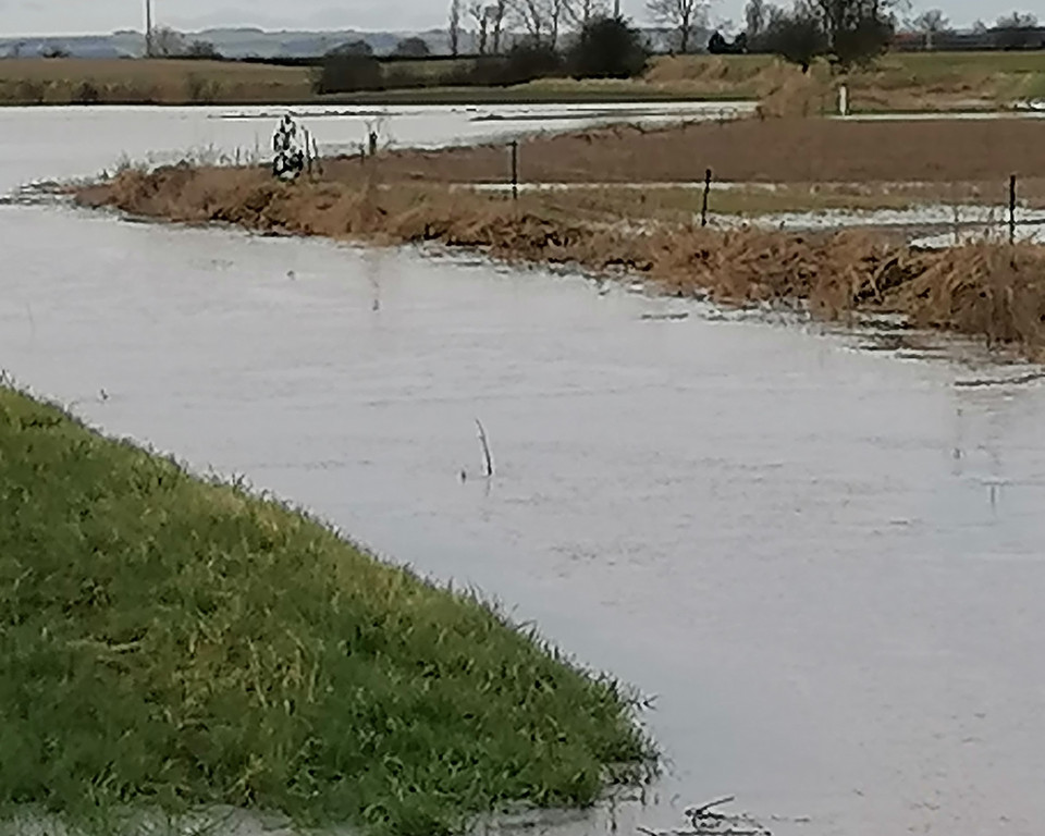 Flooding At Lakes Farm Scorborough 1