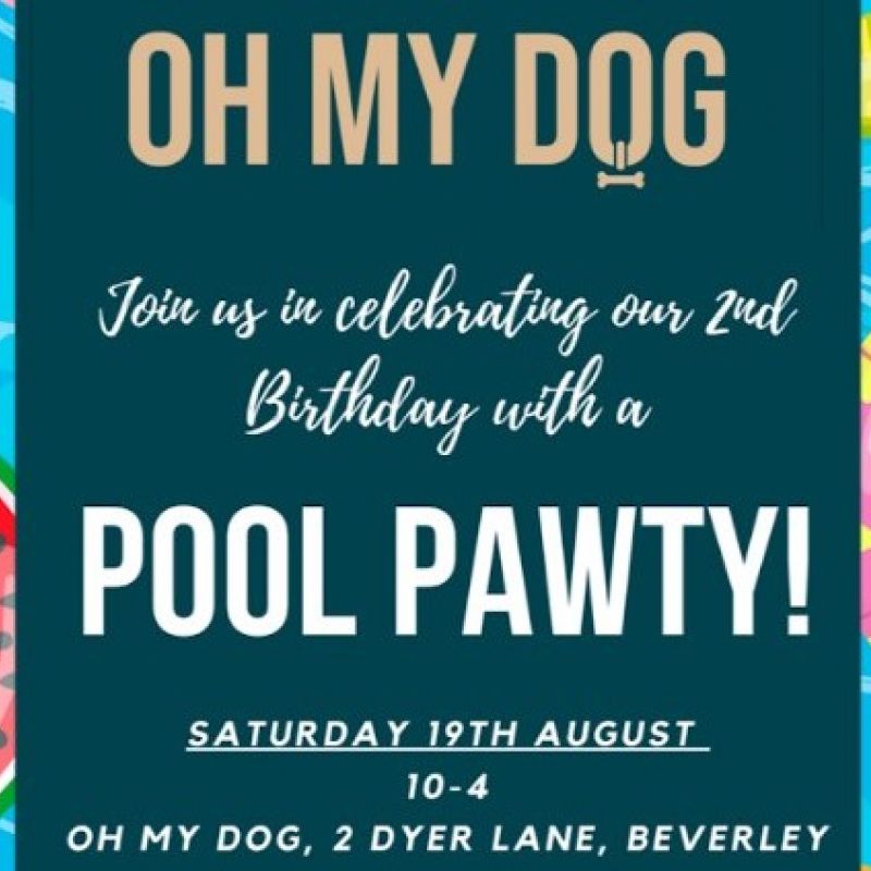 Oh My Dog What A Pool Pawty