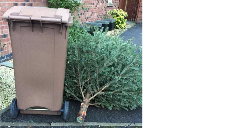 recycling christmas tree 2