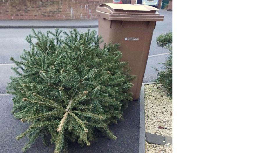 Recycling Christmas Tree 1