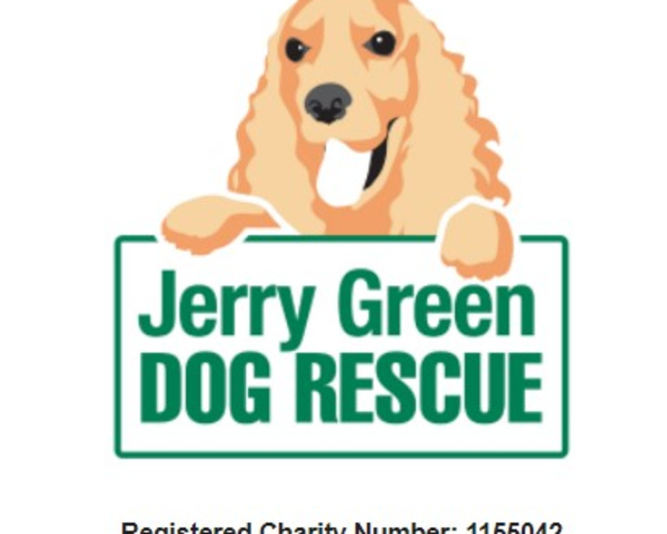 Jerry Green Rescue