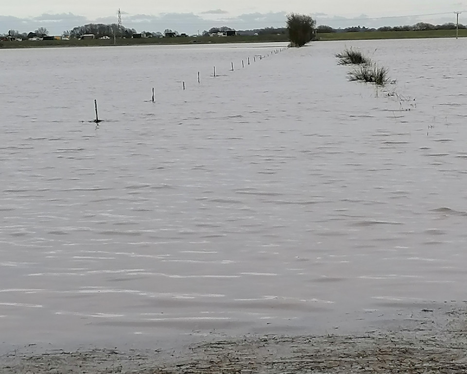 flooding at lakes farm scorborough 2