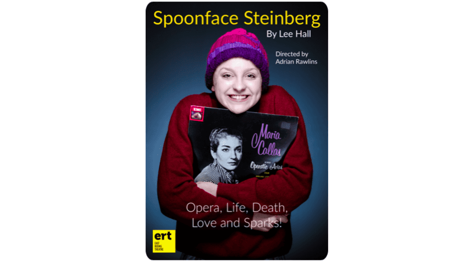 Introducing Spoonface Steinberg