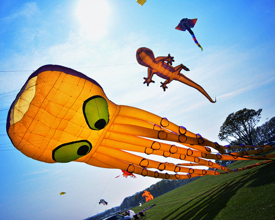 Bridlington Kite Festival Image 1
