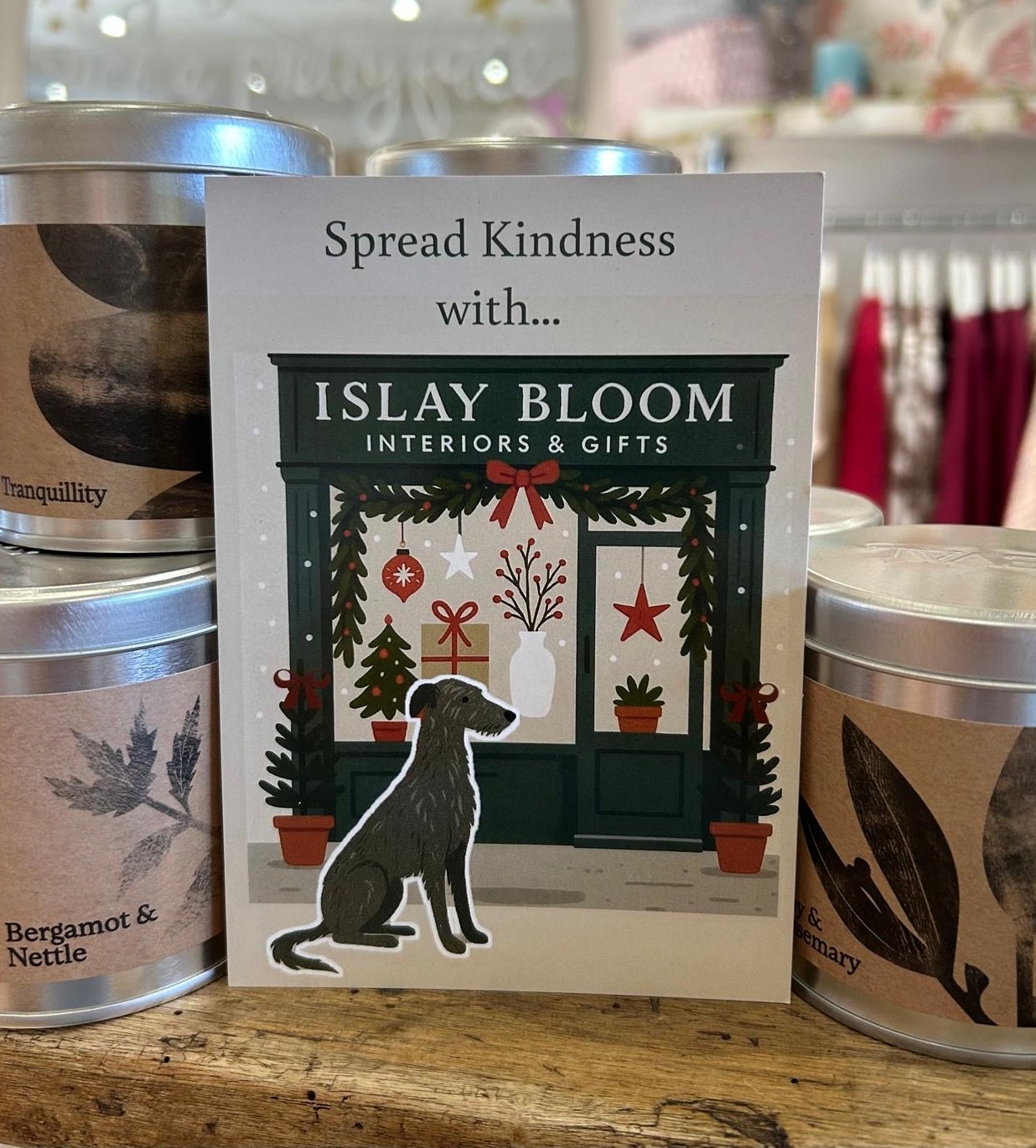 When Beverley Blooms With Kindness