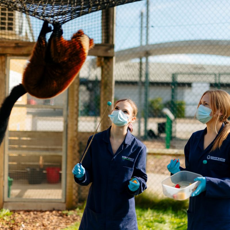 Animal-management-is-one-of-the-hands-on-subjects-delivered-at-Bishop-Burton-College..jpg