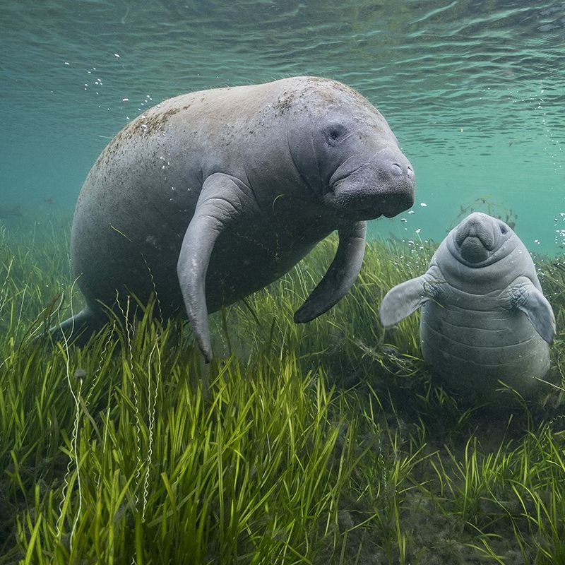 Stunning Images Unveiled As Wildlife Photographer Of The Year Returns To Sewerby Hall And Gardens