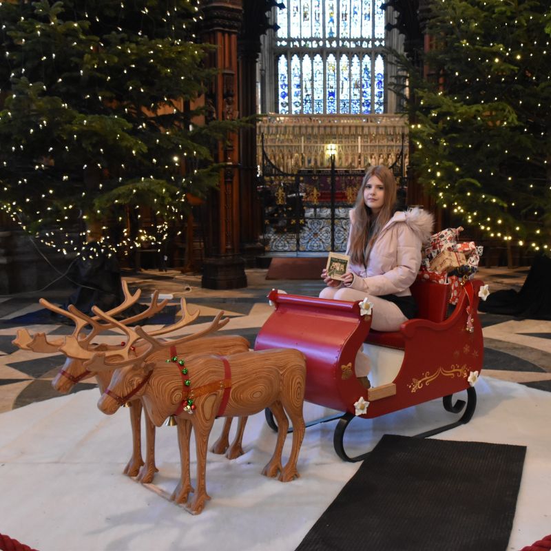 Reindeer Wander Through Beverley To Find Santa S Sleigh 1