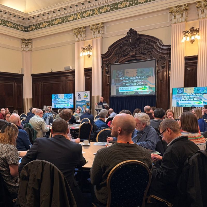 Hull And East Riding Conference Launches Nature Recovery Strategy