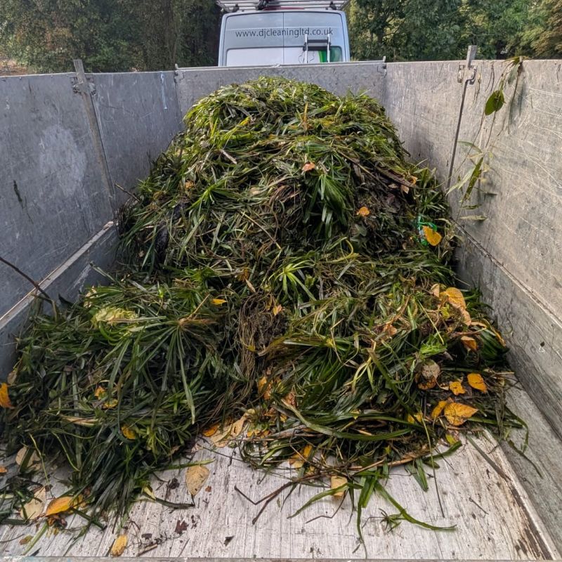 A-first-load.jpg