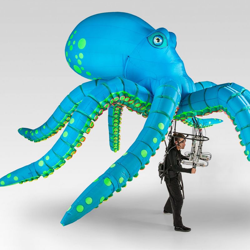 Ocho-the-Octopus-by-Tim-Davies.jpg