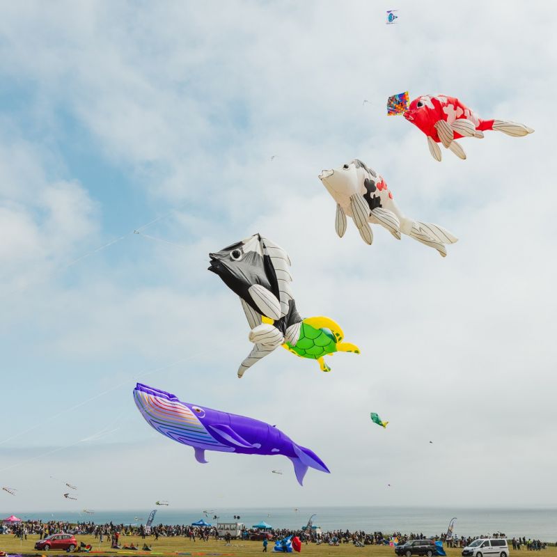 2025-Bridlington-Kite-Festival.47.jpg