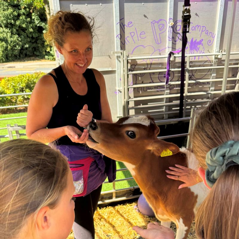 Free Family Easter Fun At Flemingate In Beverley