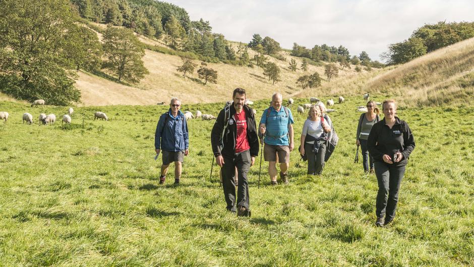 Walking East Yorkshire Festival Goes Virtual Photo