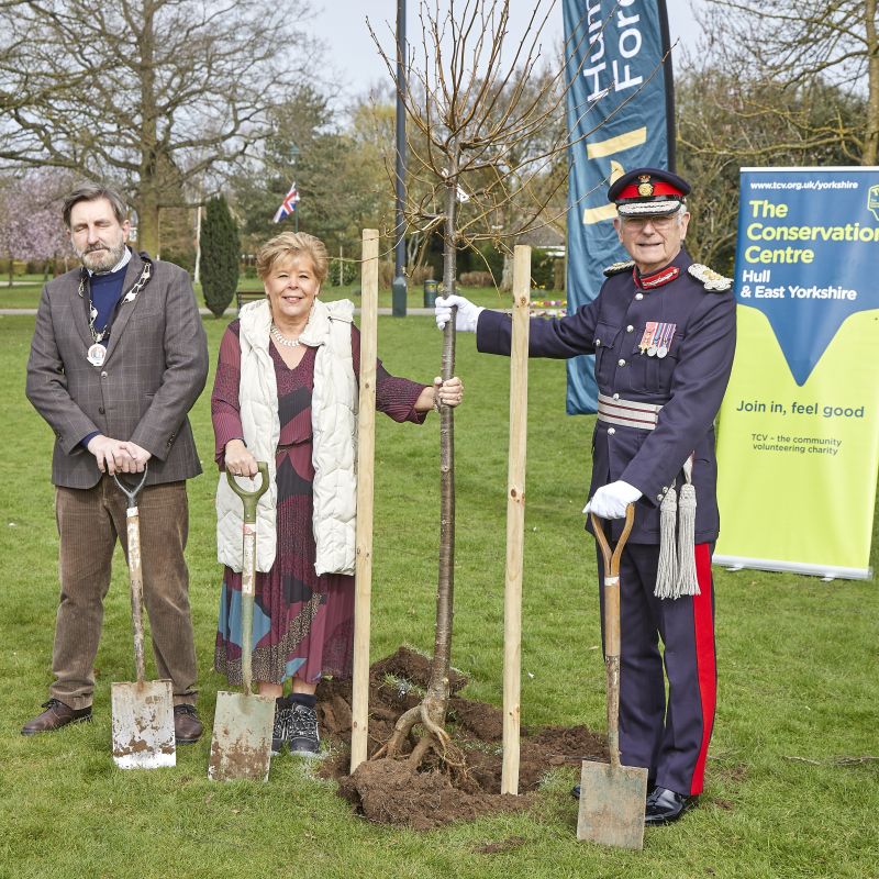 Humber Forest Plants Millionth Tree At Goole Park