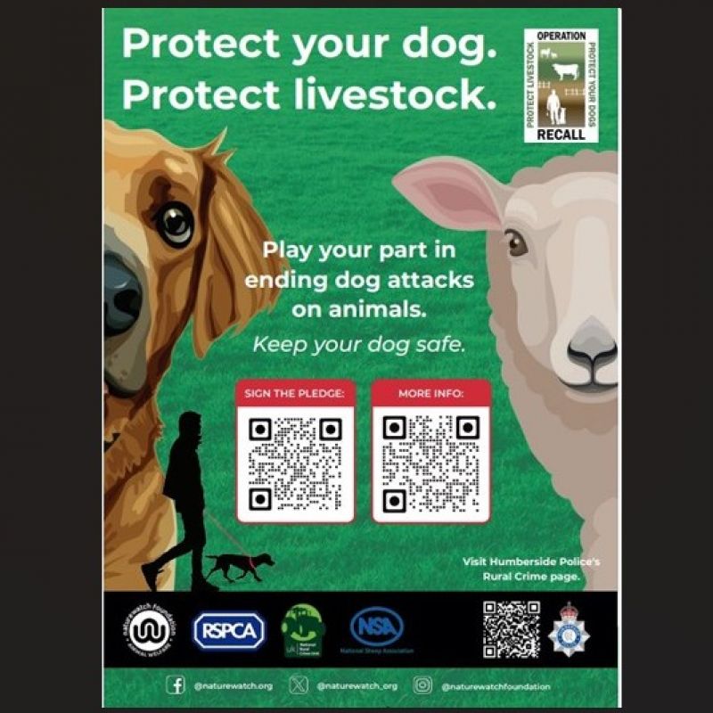 Dog Walkers Reminded To Be Considerate Of Wildlife And Livestock