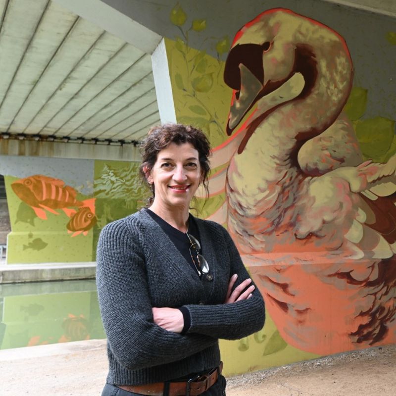 Stunning Wildlife Murals Unveiled On Beverley Bridge In A Bid To Tackle Graffiti