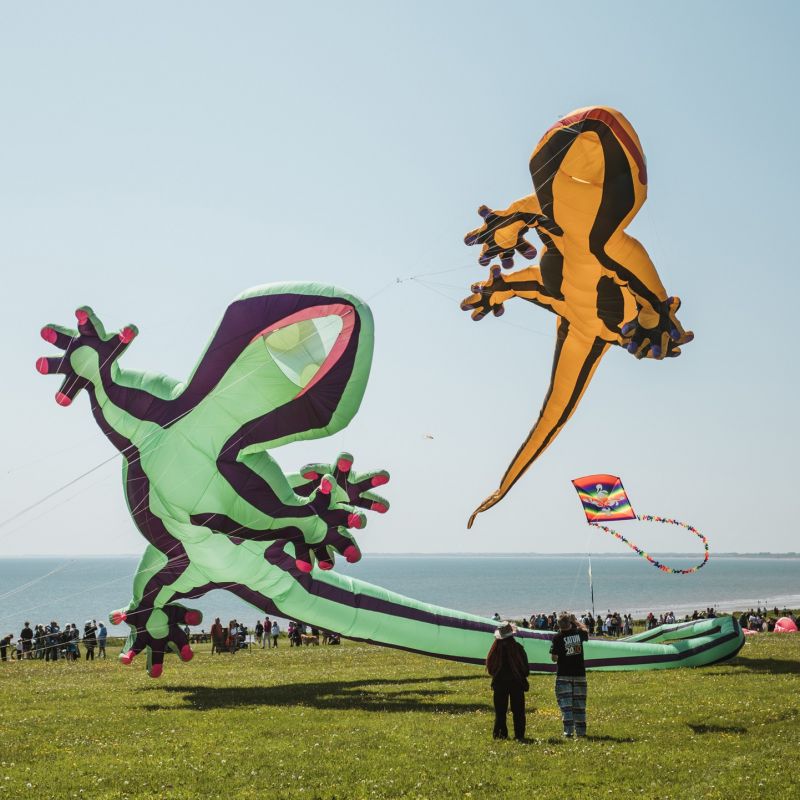 ERYC-Bridlington-Kite-Festival.jpg