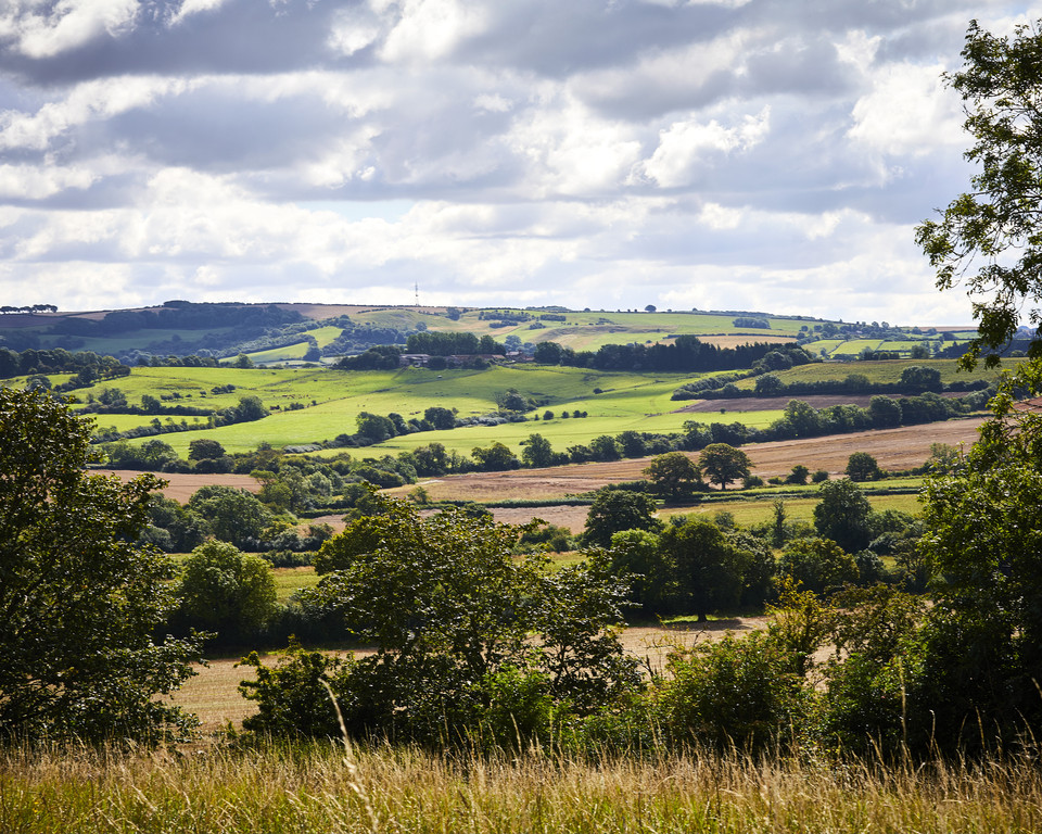 yorkshire wolds