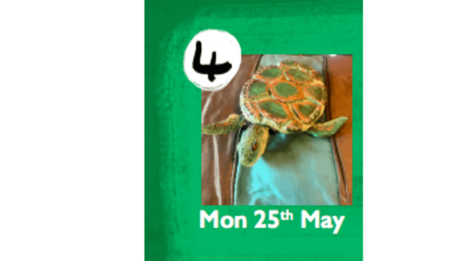 Beverley Puppet Festival Leatherback Turtle Puppet