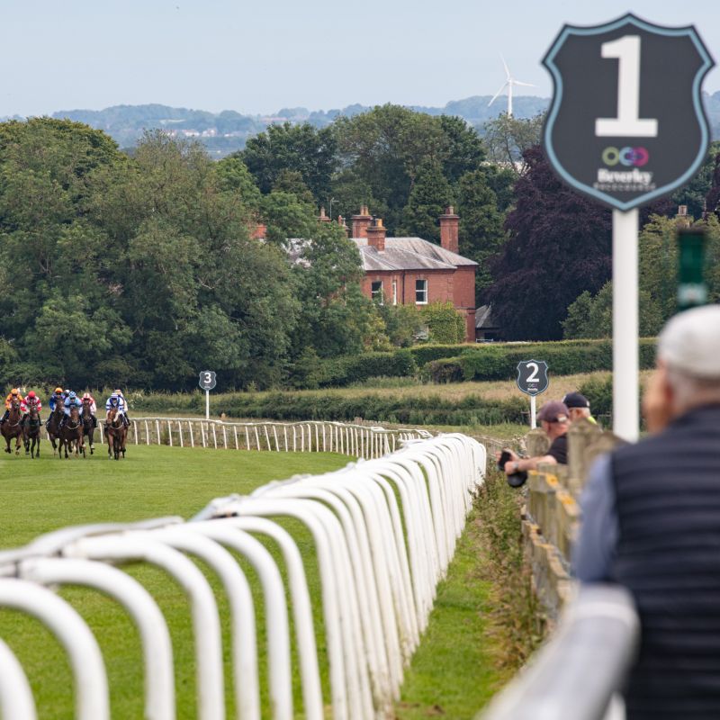 Photo Finish An Exhibition Of Photographs Celebrating Beverley Racecourse