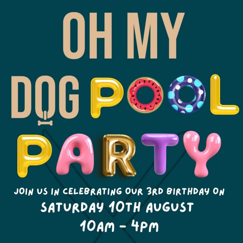 OH-MY-DOG-POOL-PARTY.jpg