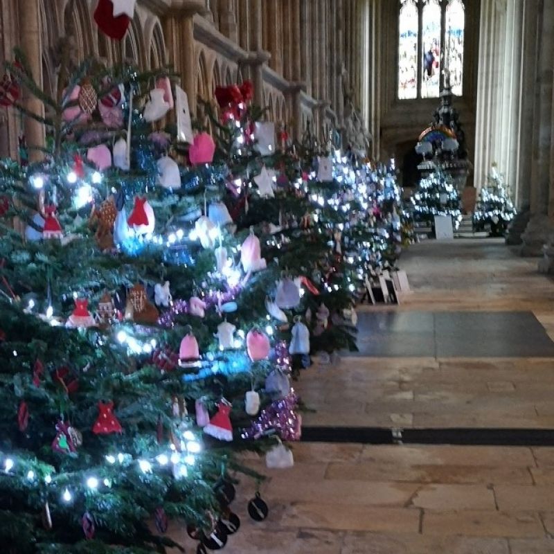 Beverley S Biggest Ever Christmas Tree Festival