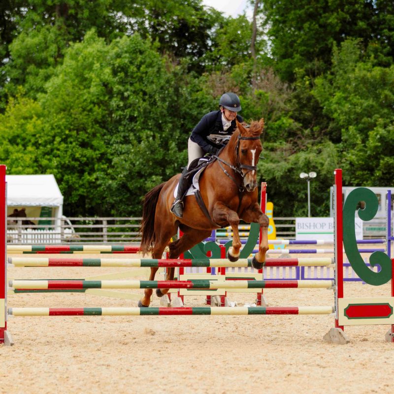 Spring Live Returns To Bishop Burton College Bigger And Better Than Ever