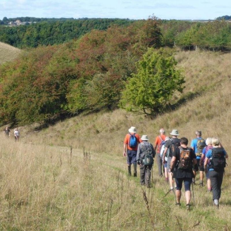 Walking East Yorkshire Festival Returns In September With A Huge Variety Of Walks Across The County