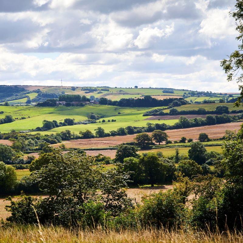 New Independent Travel Agency Opens Today In Beverley S Historic North Bar