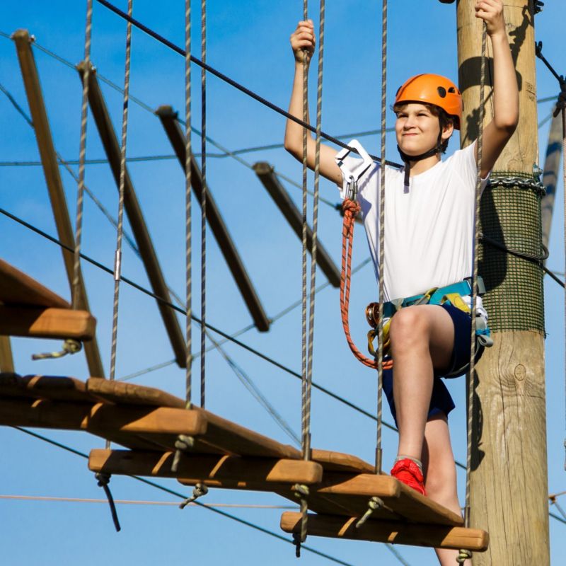 The Edge Aerial Adventure To Re Open This Month