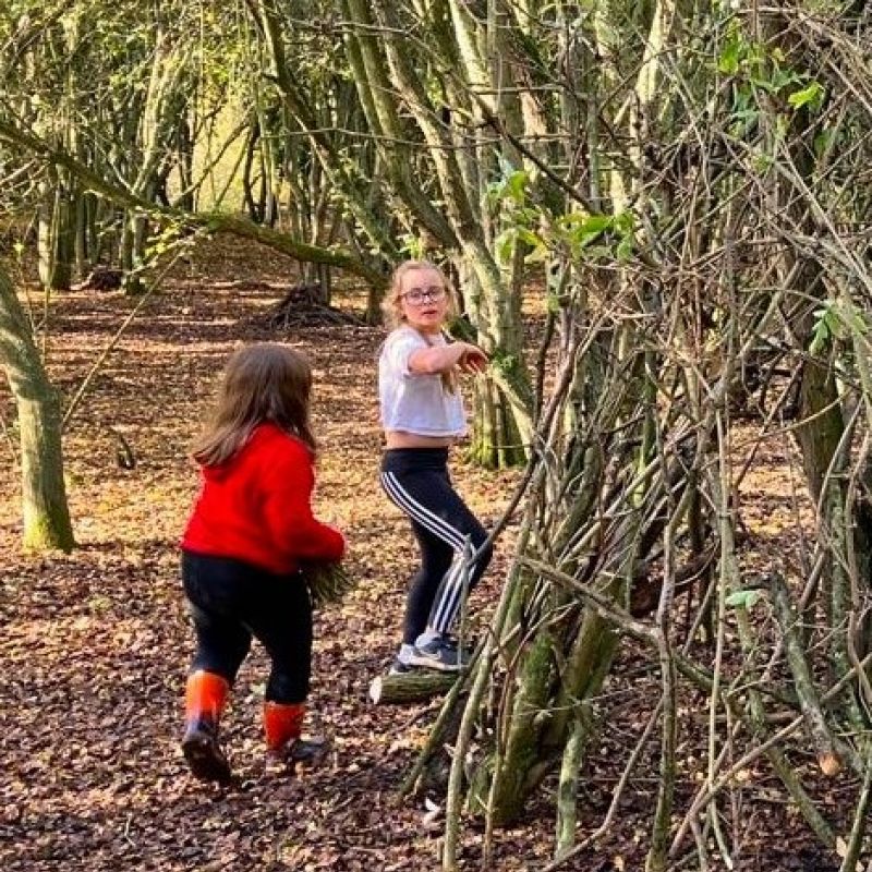 Build Hibernation Dens At Humber Bridge Country Park