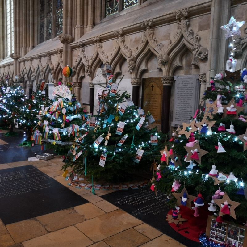 The Christmas Tree Festival Returns To Beverley