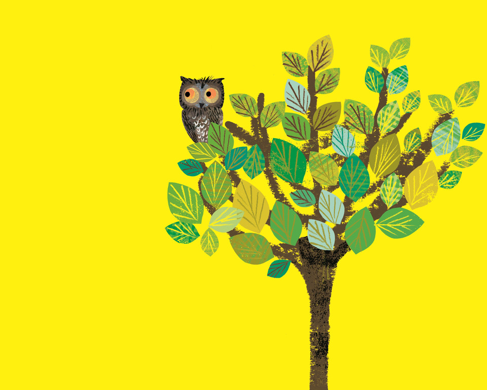 Owl In Tree Illustration Copyright Tim Hopgood
