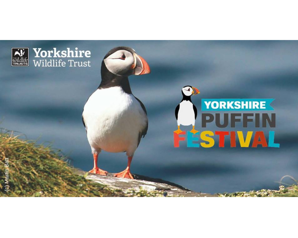 Credit Martin Batt Join Yorkshire Wildlife Trust For Yorkshire Puffin Festival 2021