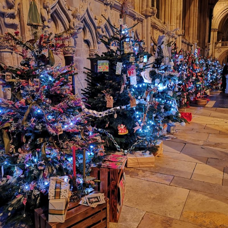Record Breaking Success For Beverley Minster Christmas Tree Festival