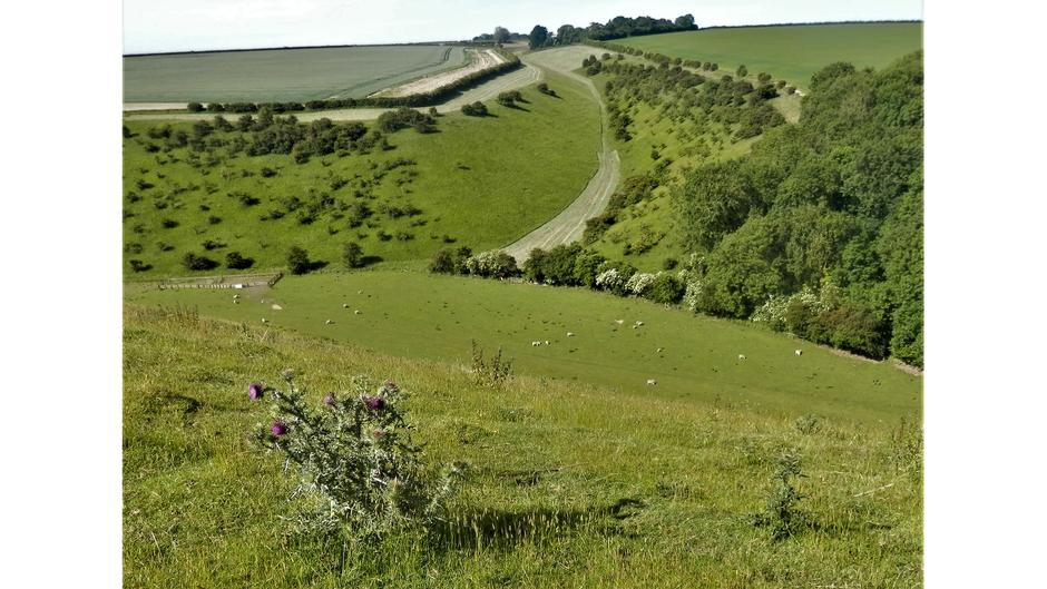 Going The Distance Walking The Yorkshire Wolds Way With Ian Richardson
