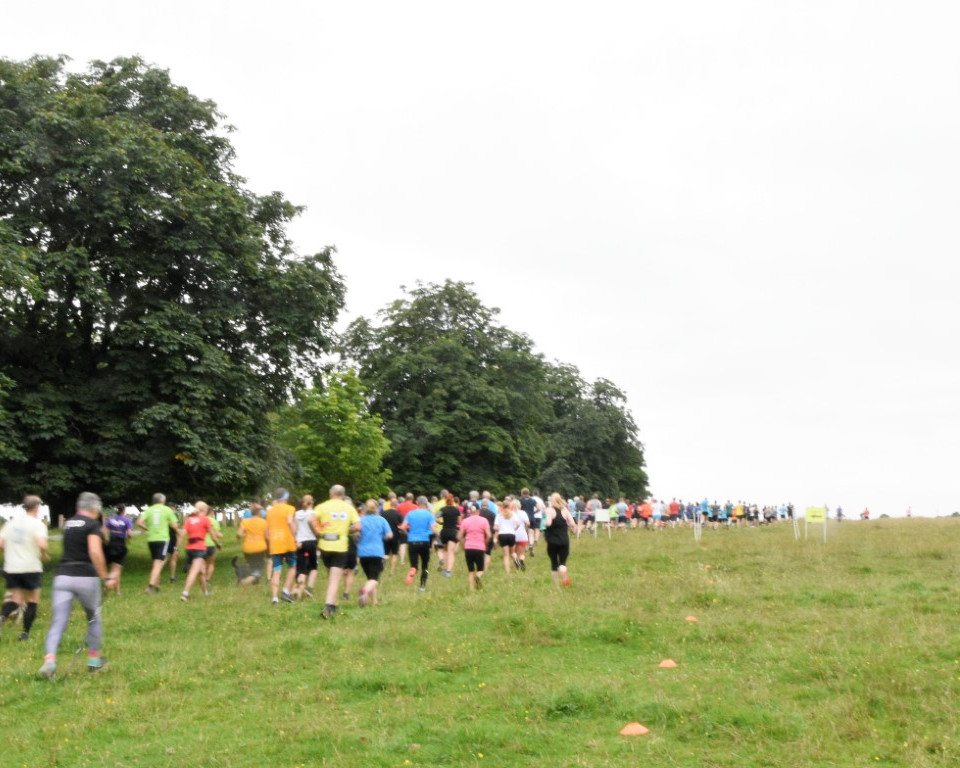 park run returns 35 medium jpg