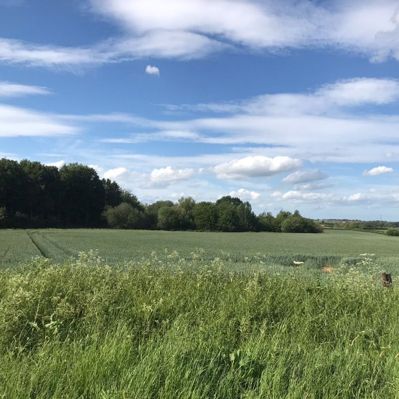 The Decision Has Not Been Made Graham Urges Residents To Have Their Say On Beverley Solar Farm Plans