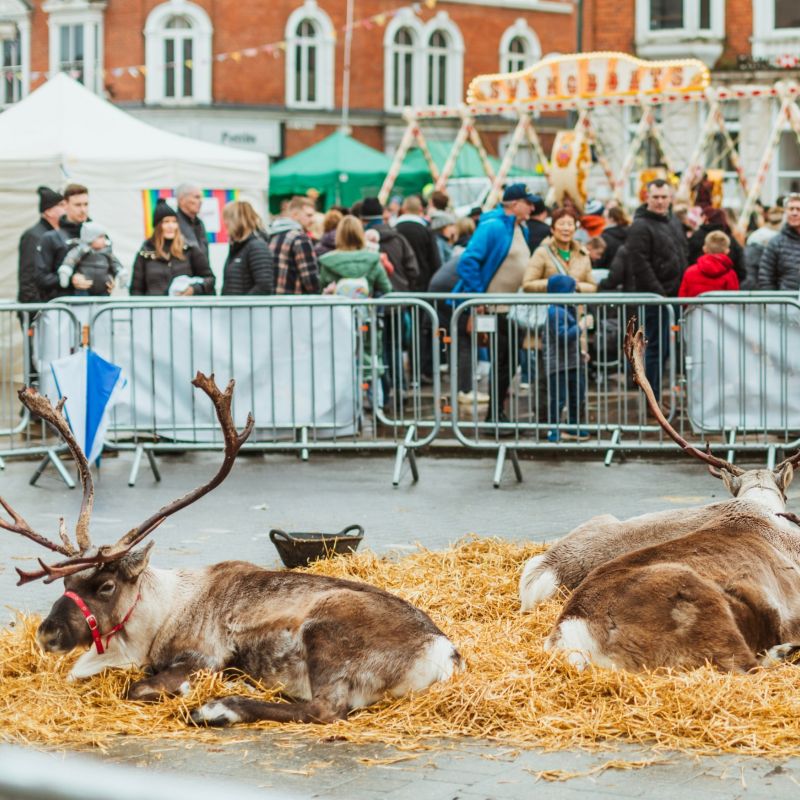 Programme Of Events For Beverley Festival Of Christmas 2025