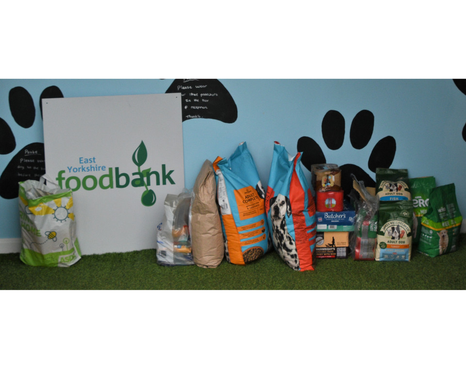 foodbank fit4dogs 8 jpg