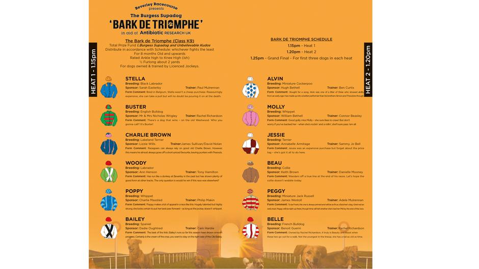 Bark De Triomphe Updated Racecard