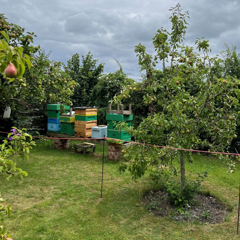 Beverley Open Gardens Has Returned