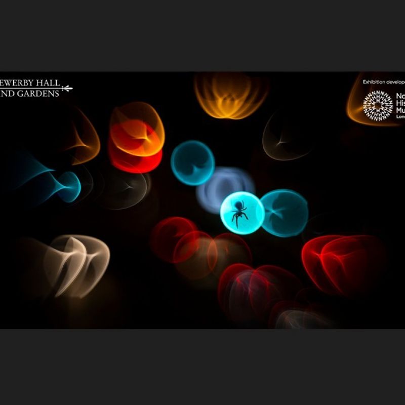 The World S Finest Nature Images Are Revealed As Wildlife Photographer Of The Year Returns To Sewerby Hall And Gardens