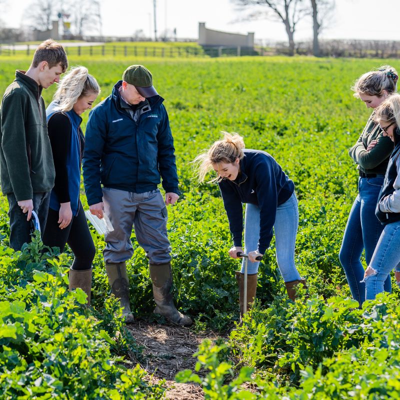 Bishop Burton College Shortlisted For Ashden Awards For Future Farmers