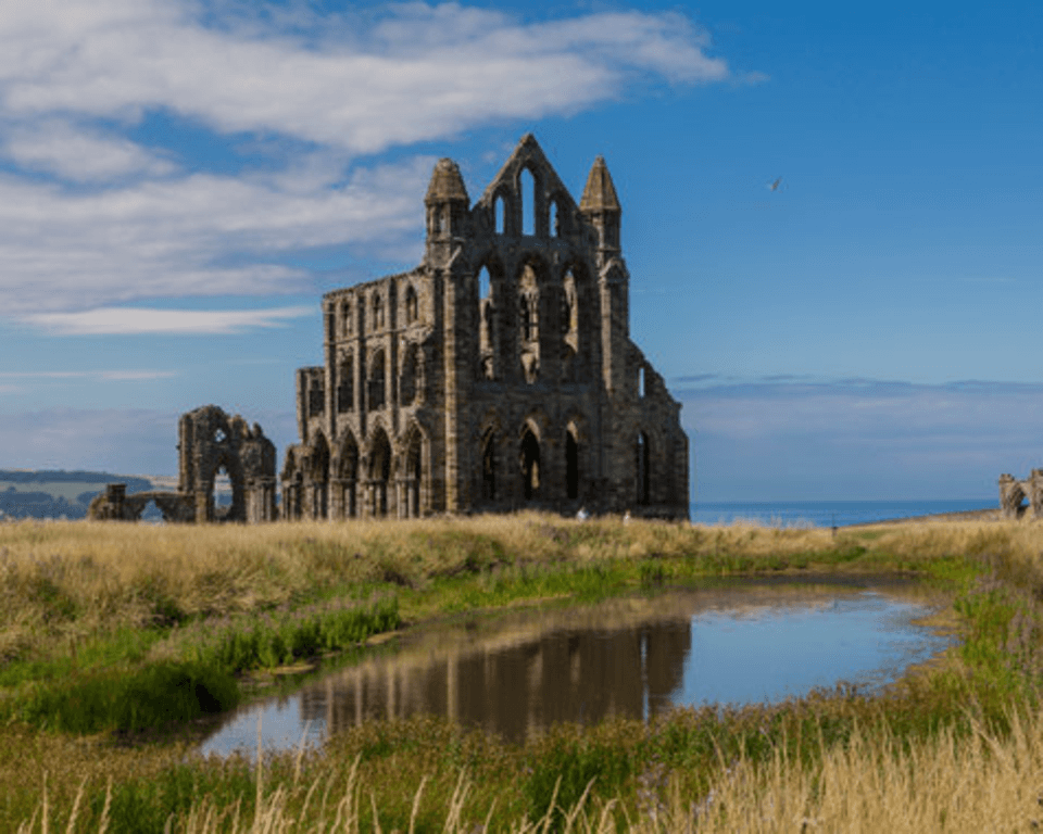 Whitby Abbey Summer