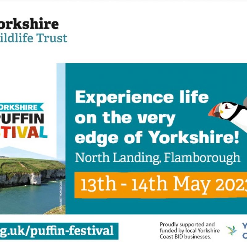 Yorkshire Puffin Festival 2023